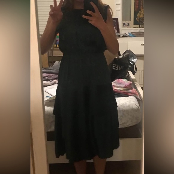 Banana Republic Elegant Green Pleated Dress - Picture 6 of 6